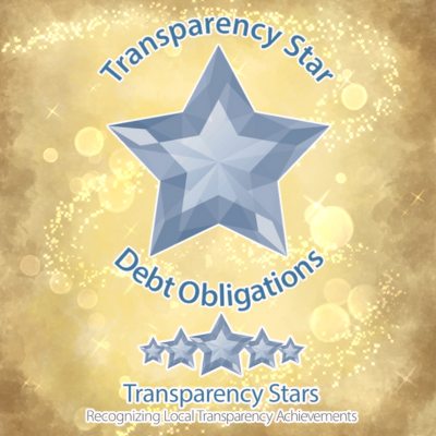 Transparency Star - Debt Obligation