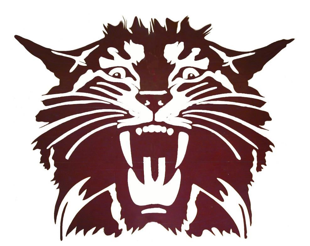 Wildcat