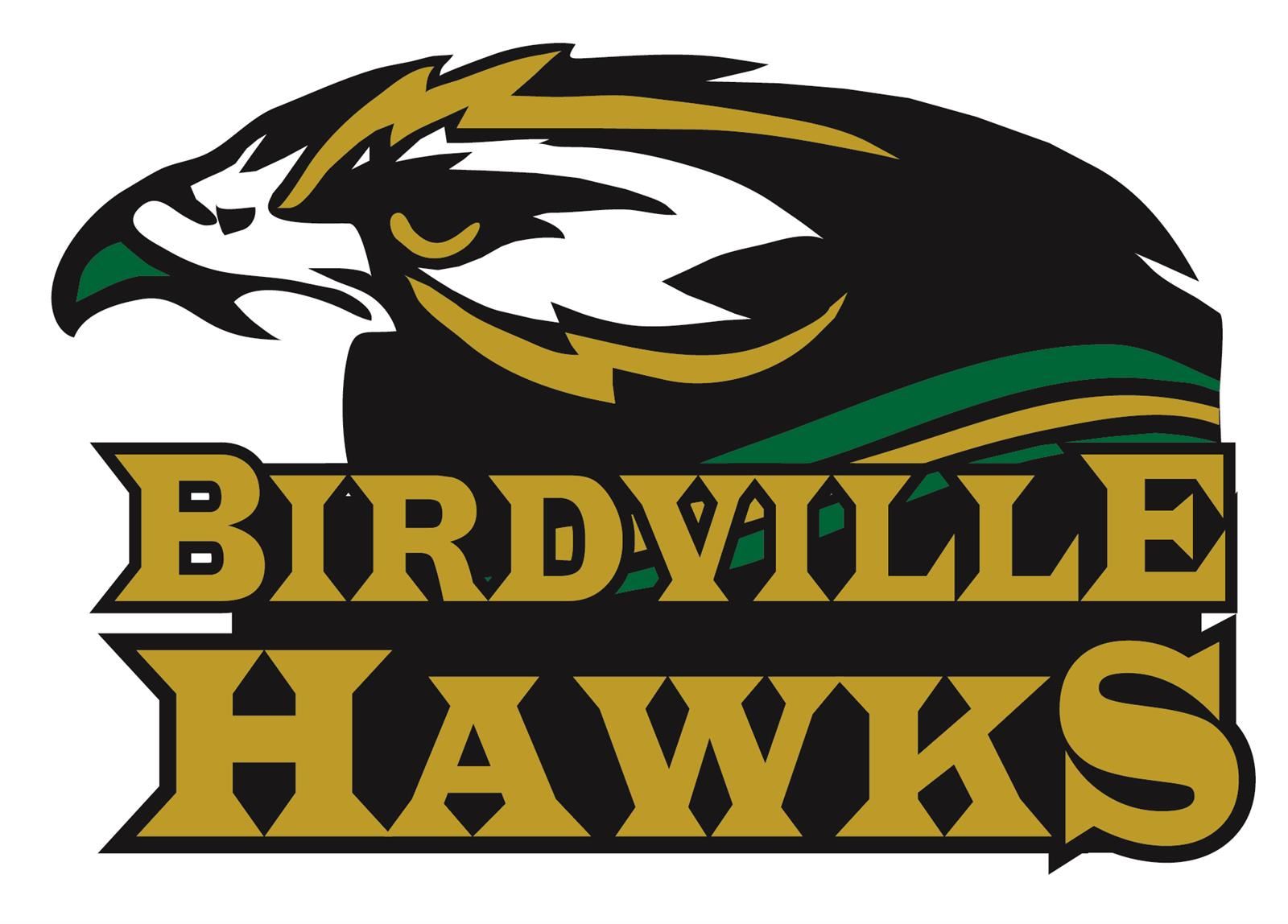 Birdville HS logo
