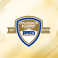 College Academy of Birdville