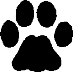  paw