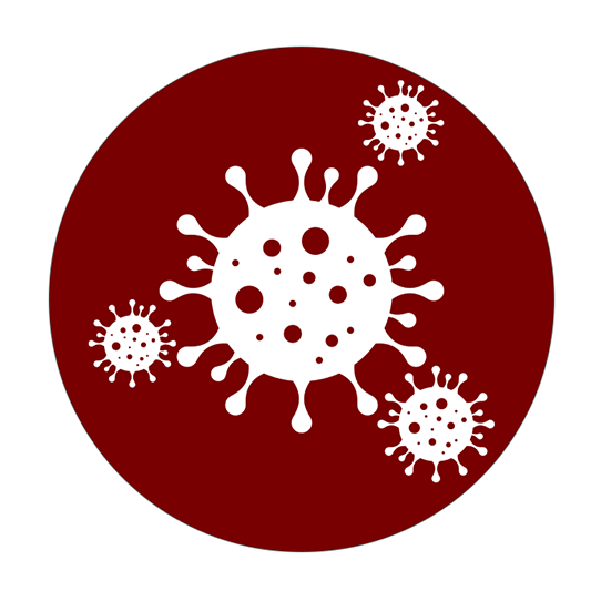  virus