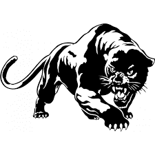  panther