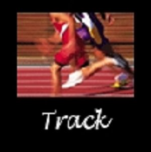 tarck_runners 