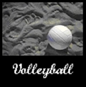 volleyball 