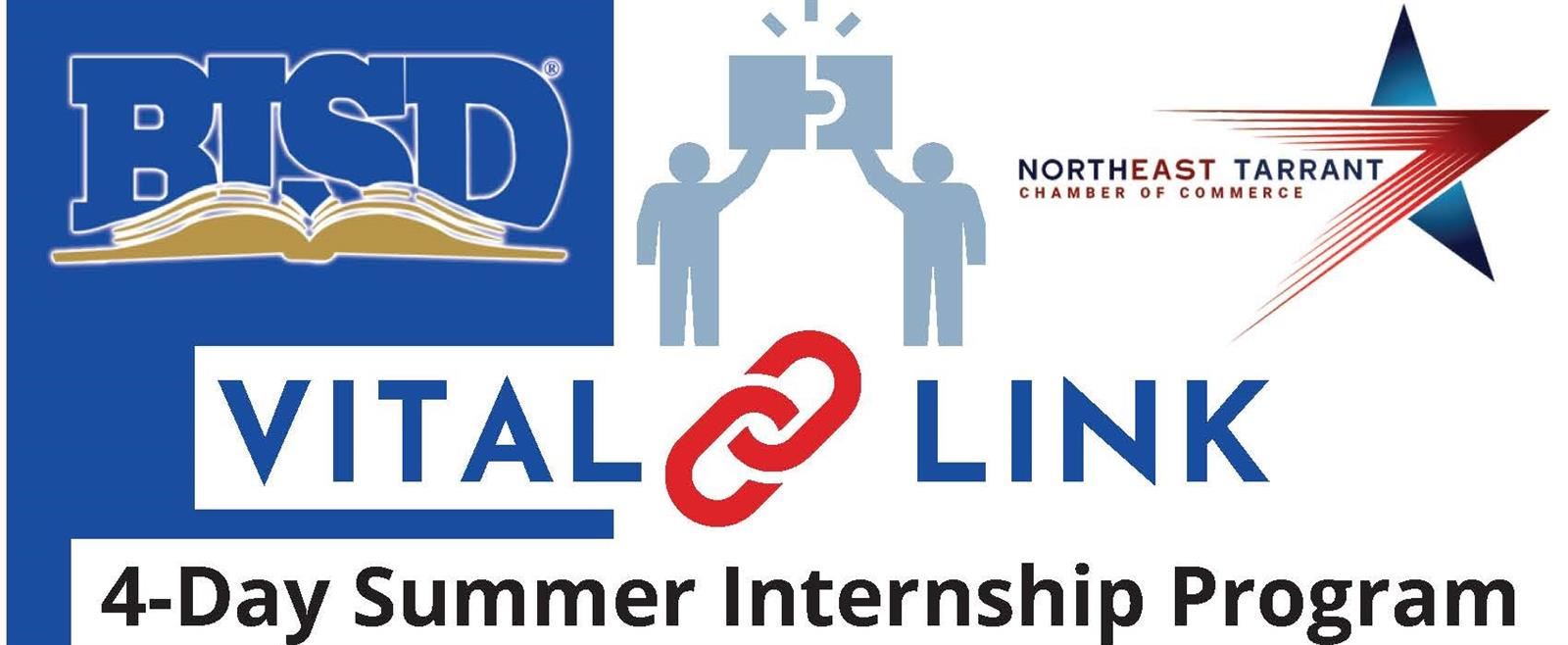 Vital Link 4 day summer internship program