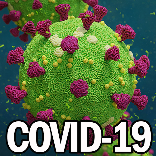  COVID 19