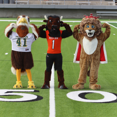 mascots