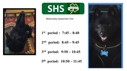 Schedule