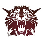 wild cat mascot