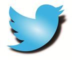 Twitter logo_blue bird
