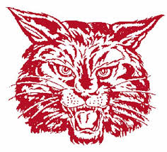 Wildcat Image