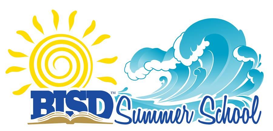 BISD Summer School 