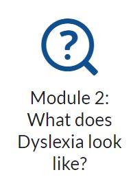 Module 2: What does Dyslexia look like? 
