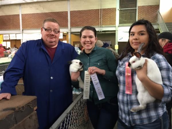 Agriculture Fair Picture