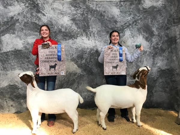 Agriculture Highlight