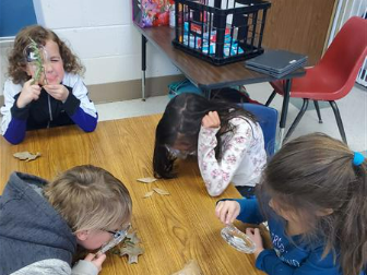 STEM Station: Science 
