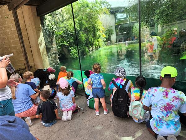 Reptiles at the FTW Zoo
