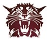 Wildcat Head 
