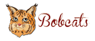 Jack C Binion Mascot Image - Bobcat