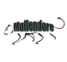 Alliene Mullendore Elementary / Overview